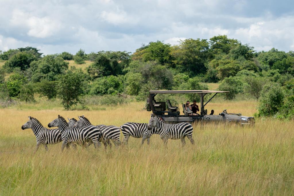 akagera national park 