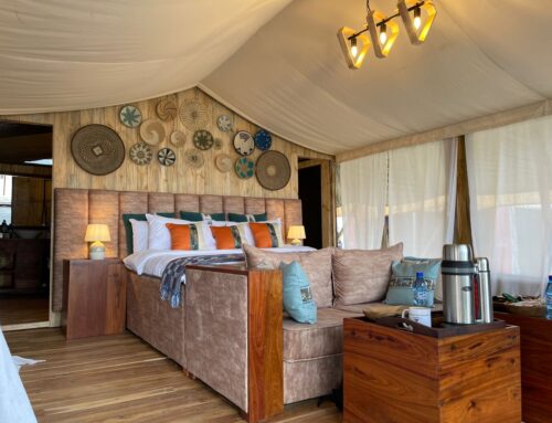 Die 8 besten Unterkünfte in der Serengeti