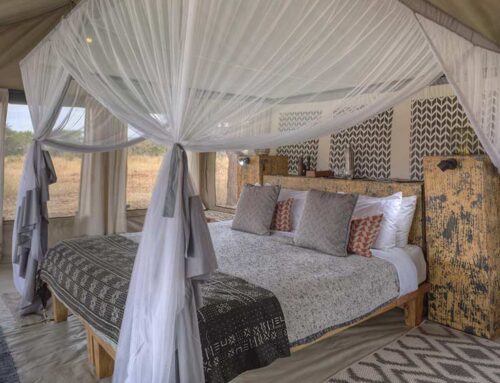 Luxusunterkünfte in der Serengeti