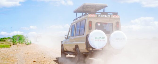 Reisekosten Tansania