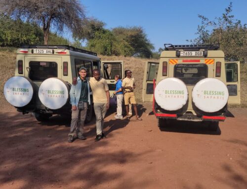 Wie hoch sind die durchschnittlichen Kosten für eine Safari in Afrika?