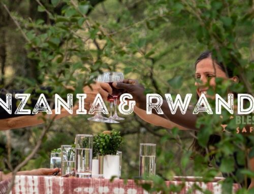 Tansania und Ruanda: Was ist das Beste für eine Safari?