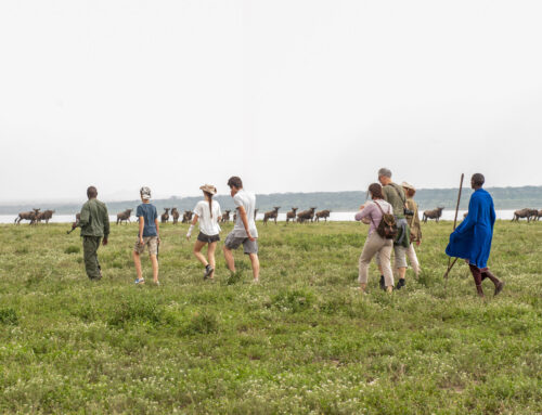 Kosten für eine Wandersafari in Tansania: Vollständige Preisübersicht für 2026