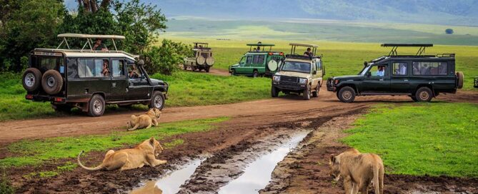 Tanzania or South Africa Safari? Which is better?