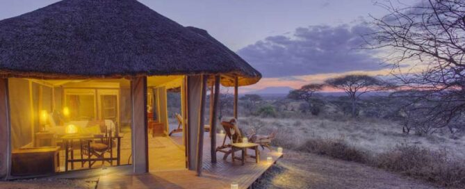 best time to go an african safari