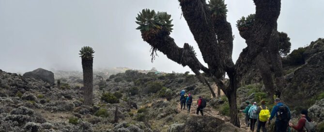 ¿Qué dificultad tiene el Kilimanjaro?