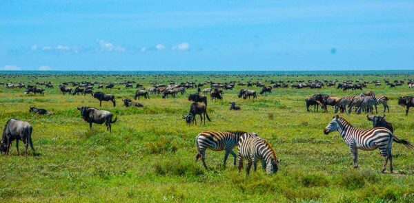 nairobi to serengeti