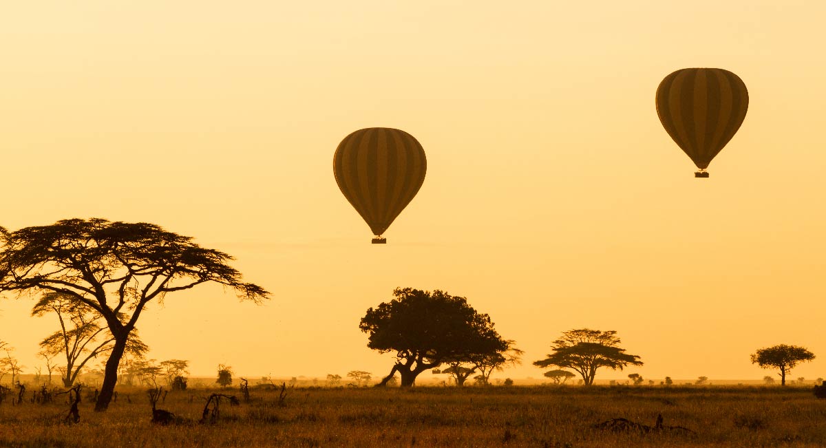 balloon safari
