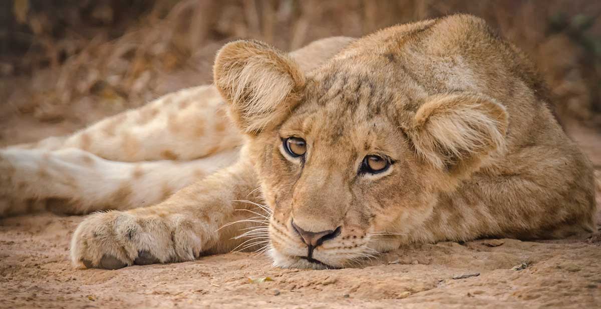 Best time to visit Tanzania