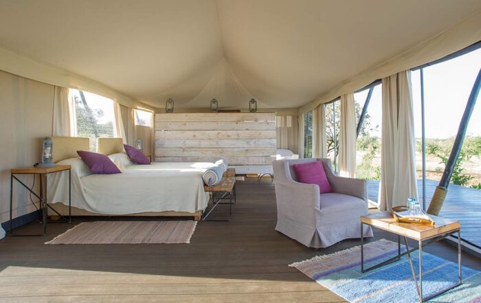 What to expect from an African safari in Tanzania