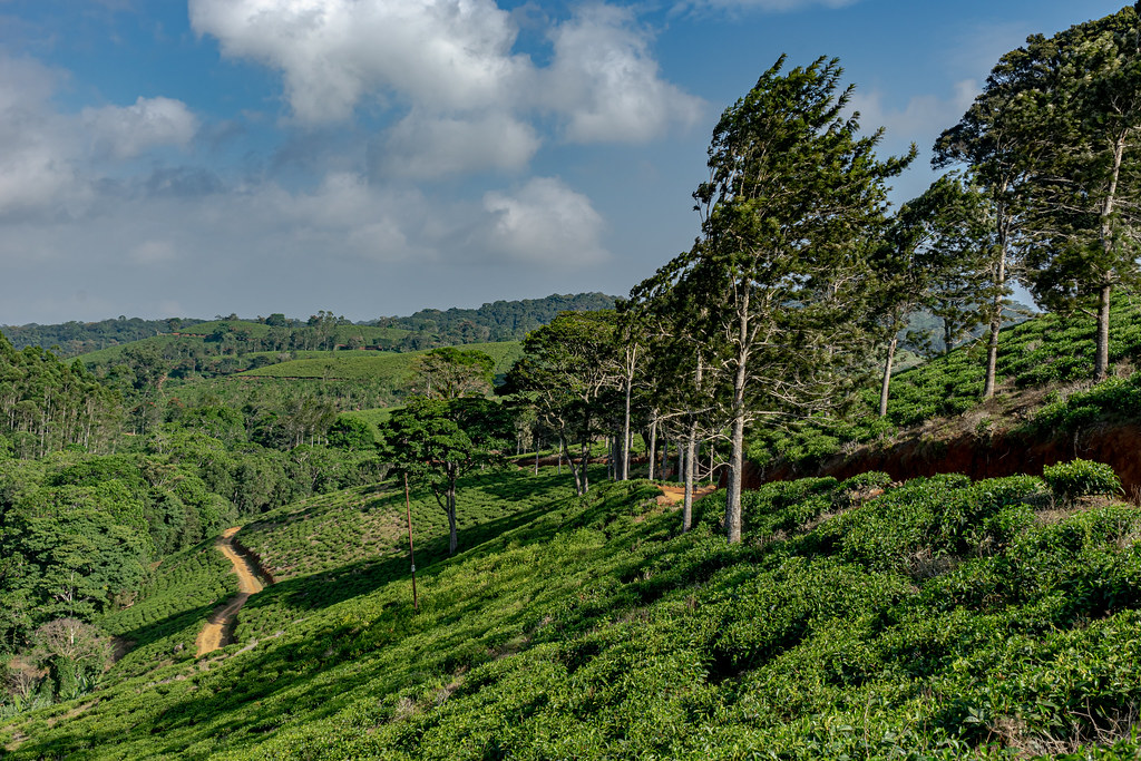 amani nature reserve safari cost