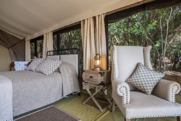 entim mara camp kenya 