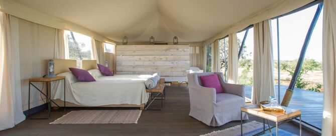 What to expect from an African safari in Tanzania