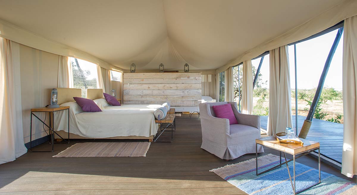 What to expect from an African safari in Tanzania