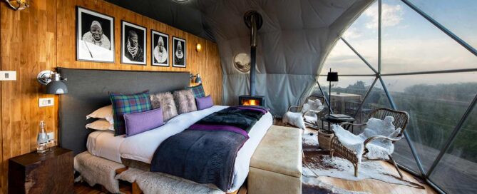 Safari di nozze in Tanzania