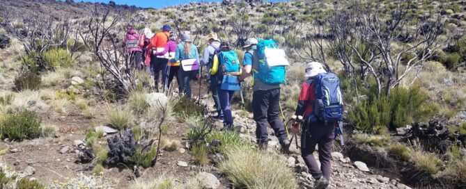 Operatore turistico Kilimanjaro