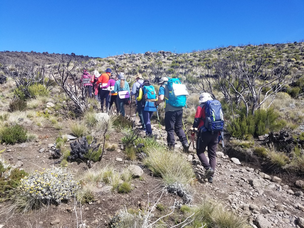 Operatore turistico Kilimanjaro