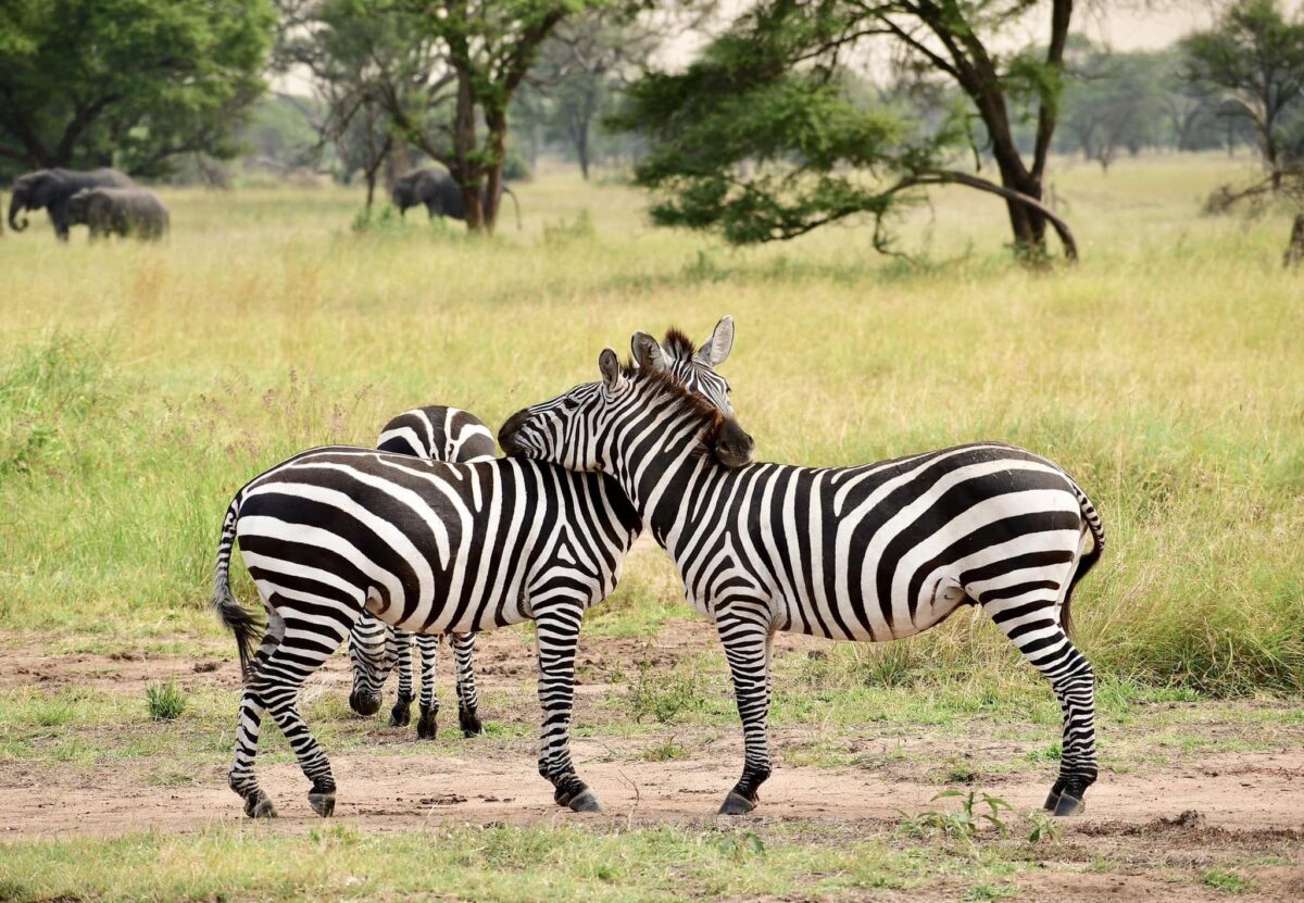 I migliori consigli per viaggiare da soli