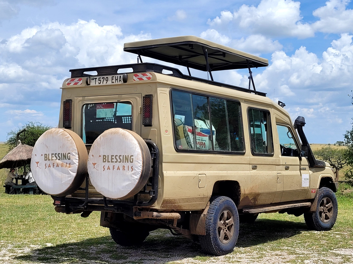 Safari di migrazione delle gazzelle