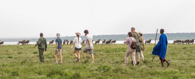 Tanzania walking safari cost