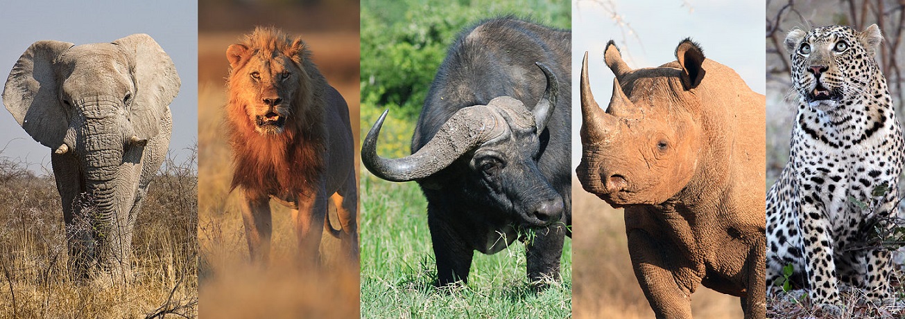 big five game