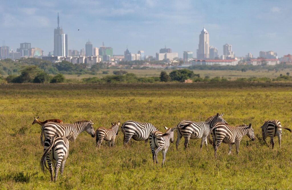 nairobi 