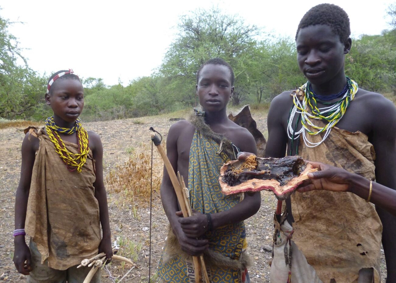 hadzabe in ngorongoro