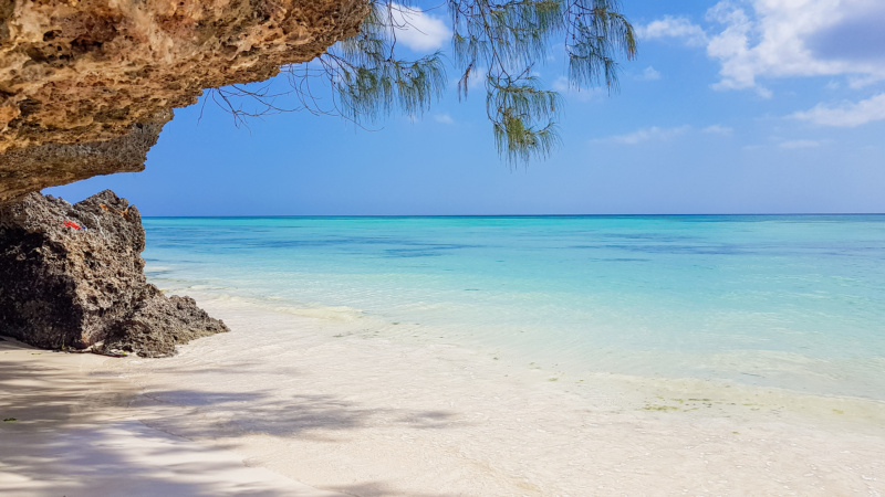 kizimkazi beach 