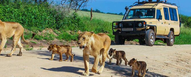 Safety in tanzania