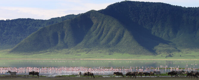 ngorongoro crater facts