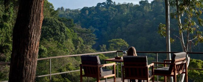 kilimanjaro hotels and lodge before and afer climb