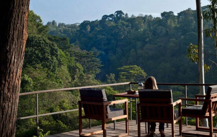 kilimanjaro hotels and lodge before and afer climb