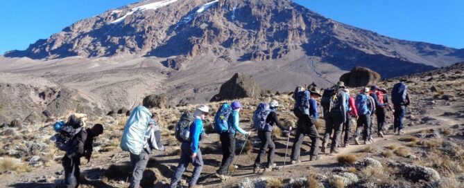 kilimanjaro or everest