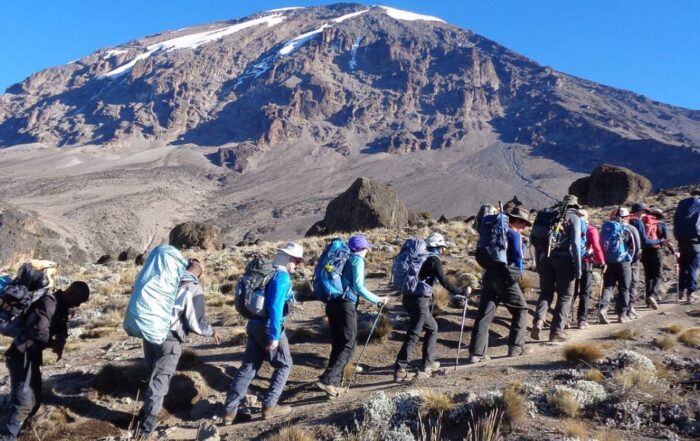 kilimanjaro or everest