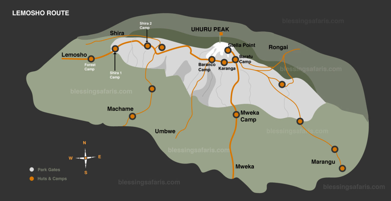 lemosho route kilimanjaro