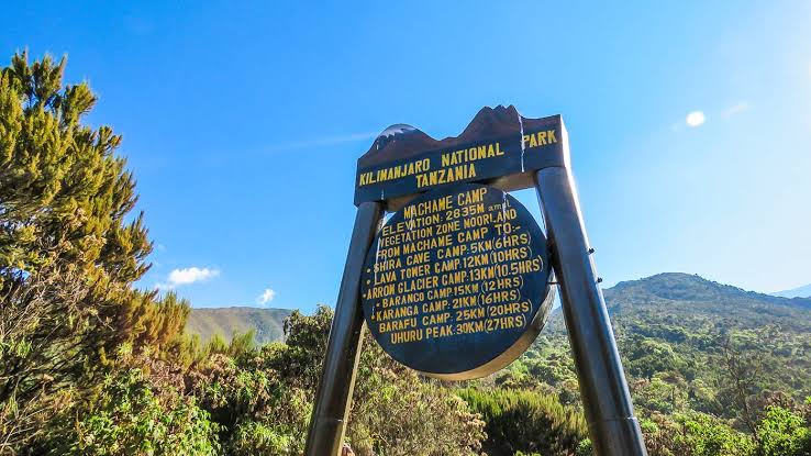 machame camp kilimanjaro