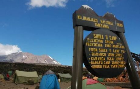 shira camp kilimanjaro