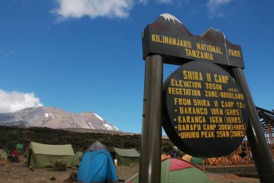 shira camp