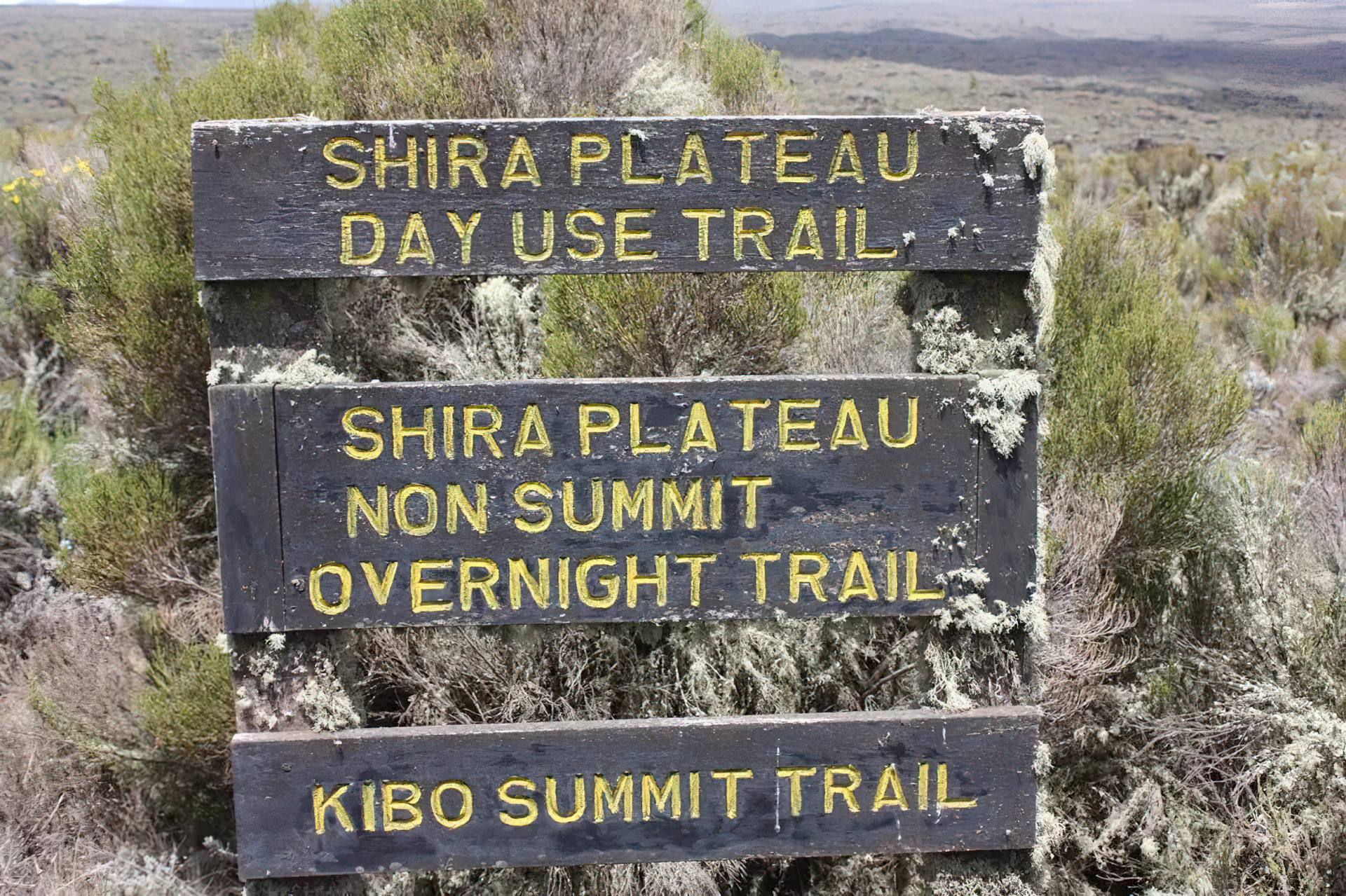 shira cathedral point kilimanjaro
