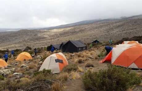 buffalo camp kilimanjaro buffalo camp kilimanjaro