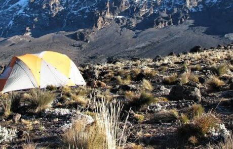 buffalo ( pofu) camp buffalo camp on kilimanjaro