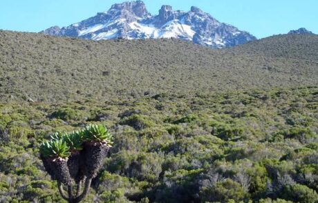 mawenzi peak – rain season
