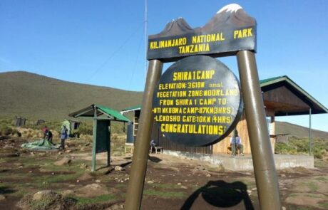 shira-one-camp- kilimanjaro shira 1 camp kilimanjaro