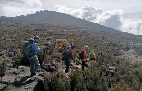 kilimanjaro day hike to shira plateau