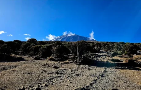 Millennium camp kilimanjaro