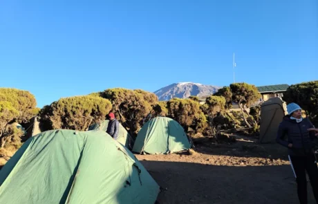 Millennium camp kilimanjaro