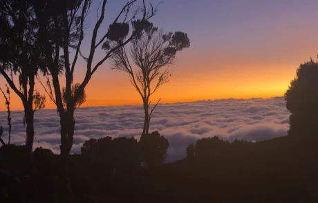 Millennium camp kilimanjaro sunrise
