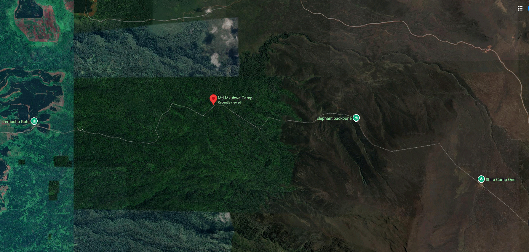 mti mkubwa camp map