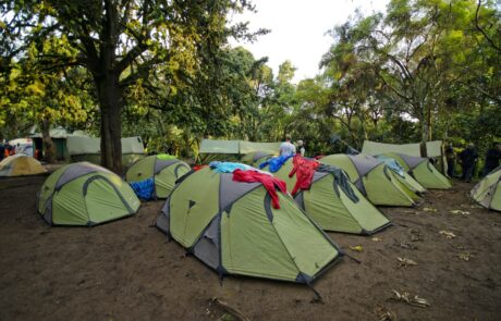 tents- mti-mkubwa-camp tents at mti mkubwa camp lemosho route