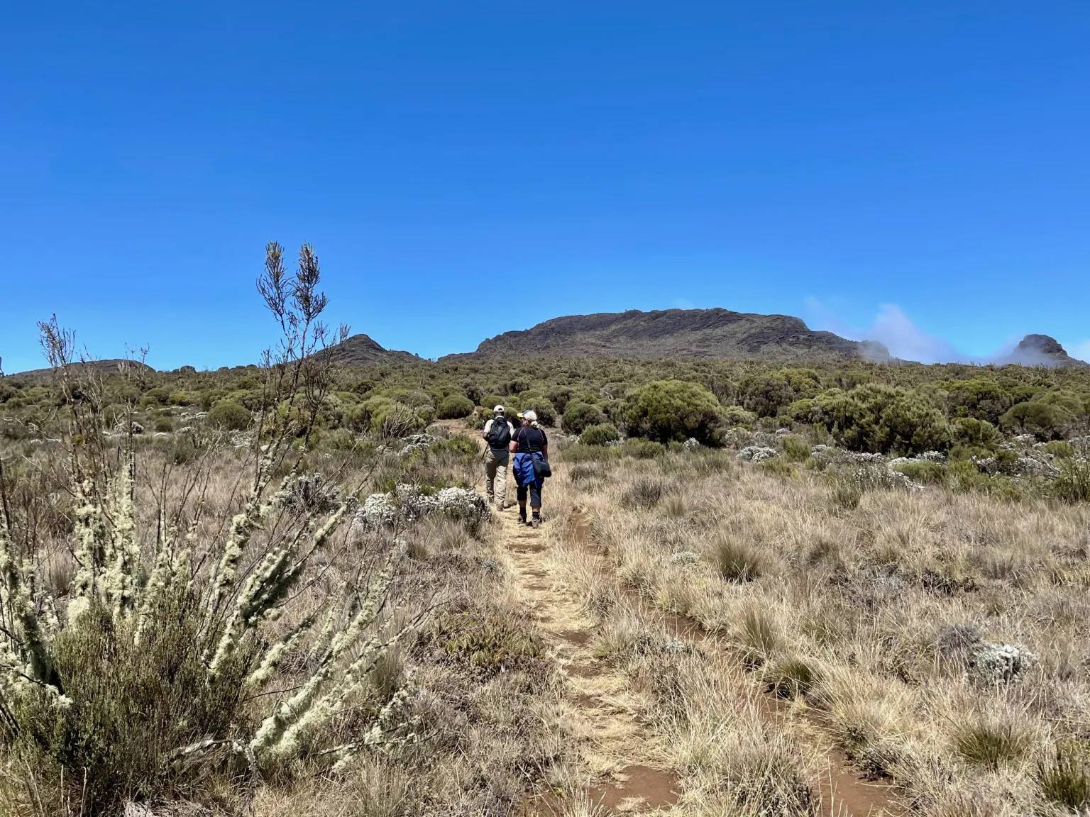 day hike kilimanjaro shira plateau
